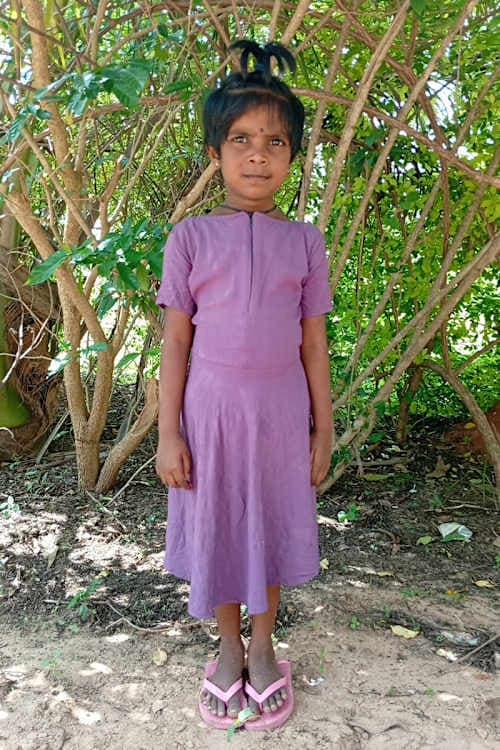 A picture of Sasviny