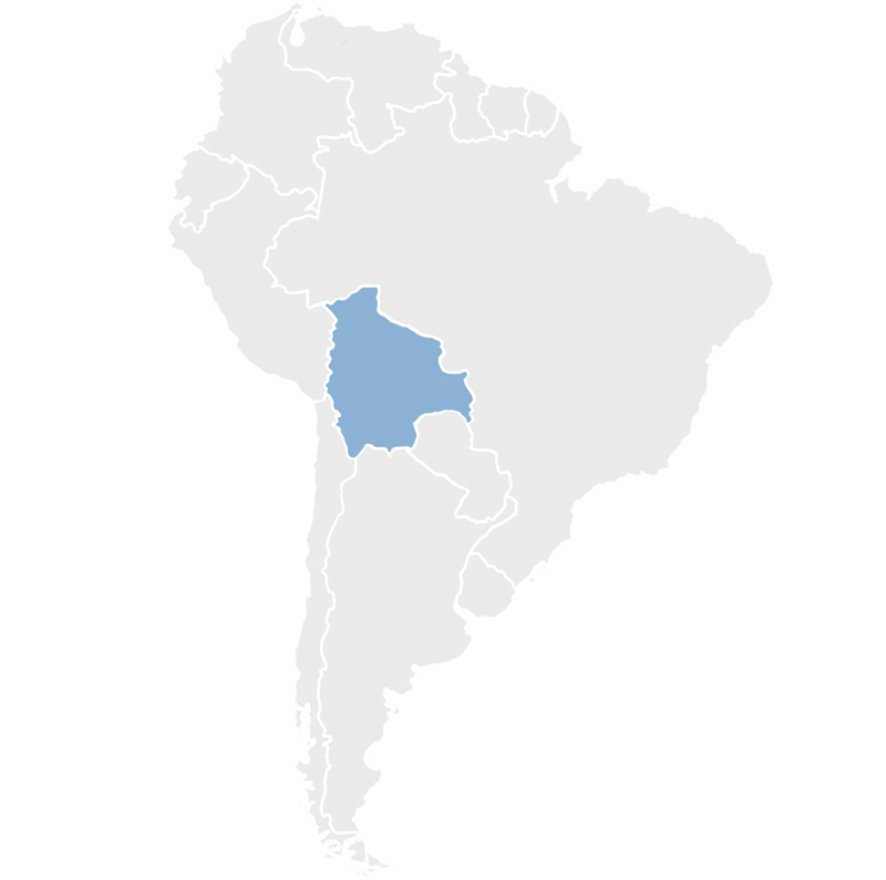 Gray map of South America with Bolivia in blue