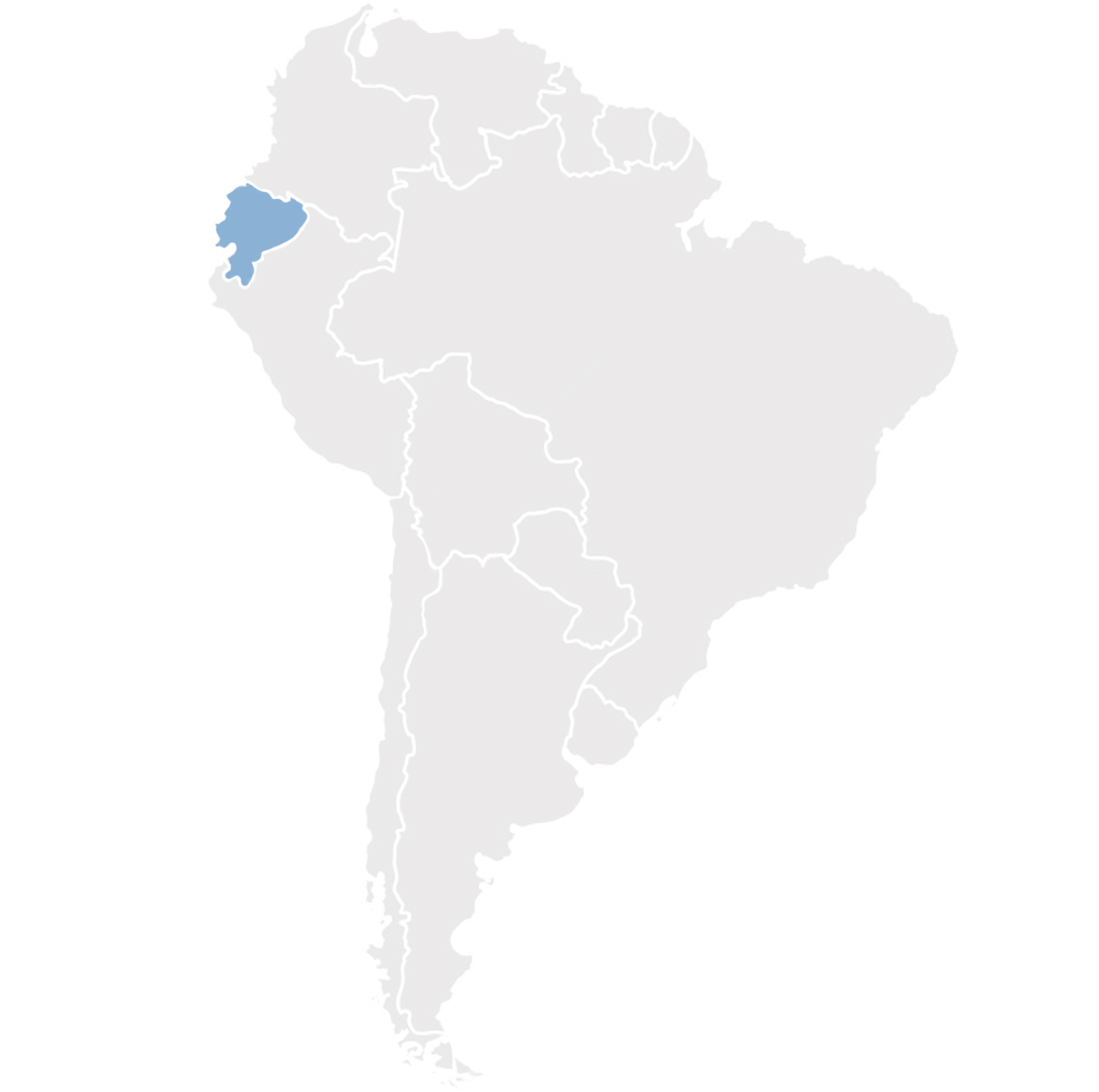 Gray map of South America with Ecuador in blue