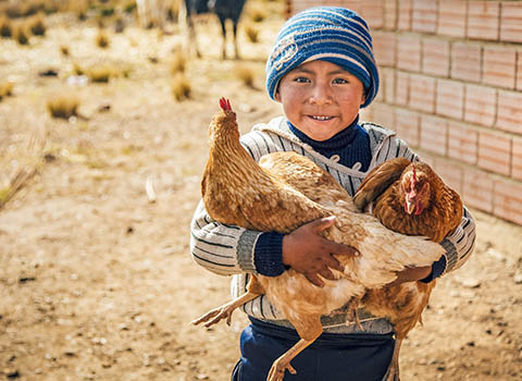 a boy holding several chickens